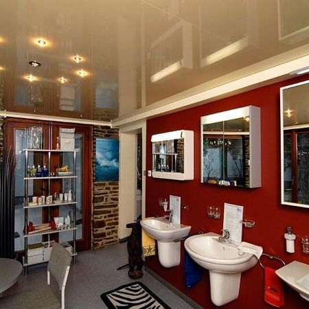 Lackspanndecken von Ihrem Installateur in Wien